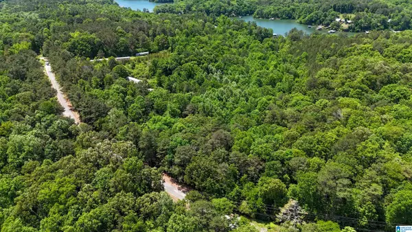 2976 COUNTY ROAD 351, Crane hill, AL 35053