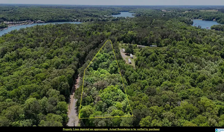 2976 COUNTY ROAD 351, Crane Hill, AL 35053 - #3