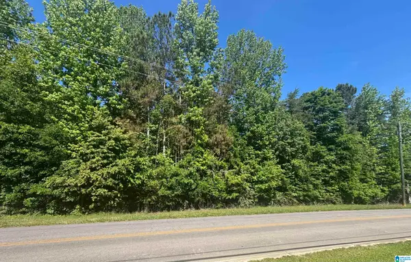 0 SPRINGVILLE BOULEVARD, Oneonta, AL 35121