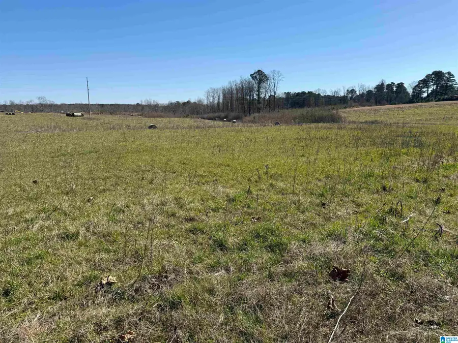 0 COUNTY ROAD 940, Cullman, AL 35057 - #3