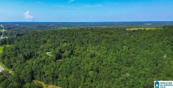 0 HIGHWAY 145, Clanton, AL 35046