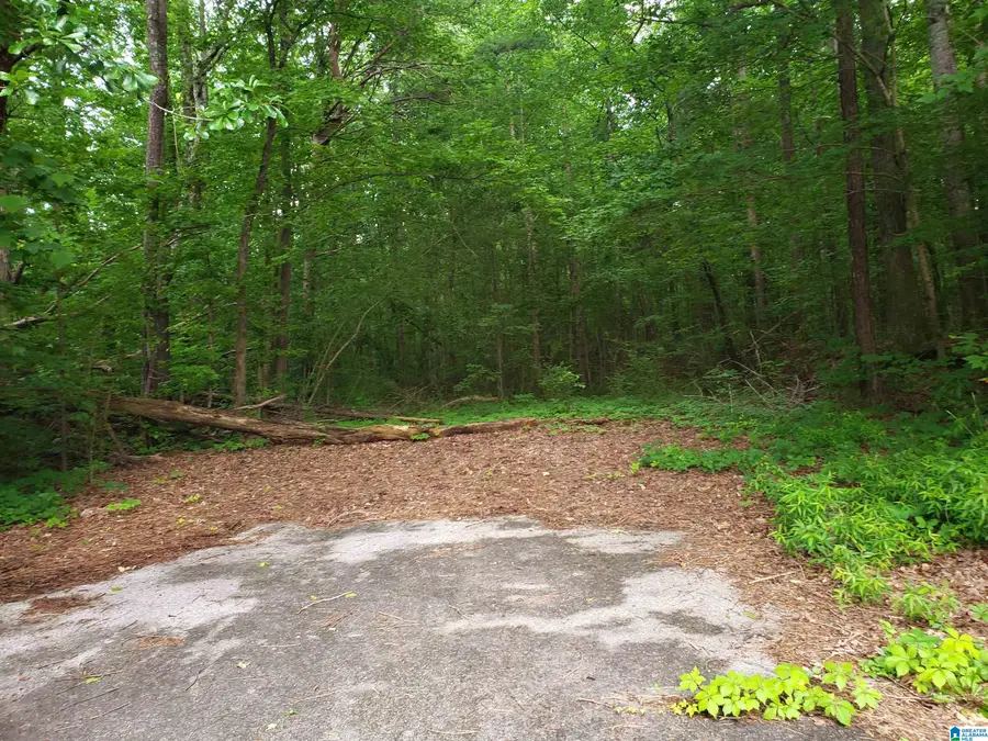4100 ABBEY ROAD, Adamsville, AL 35005 - #2