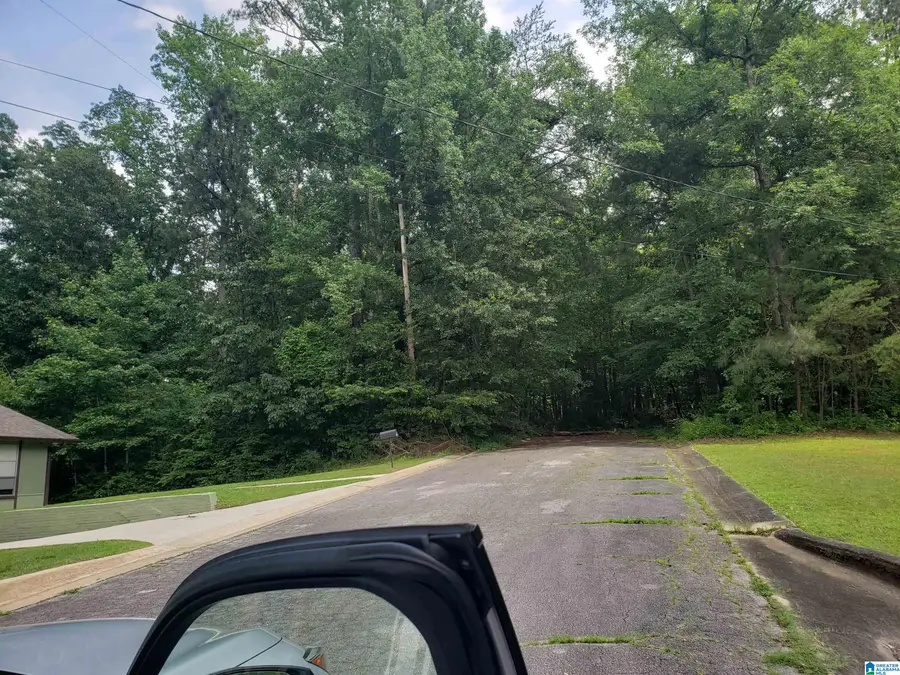 4100 ABBEY ROAD, Adamsville, AL 35005 - #3