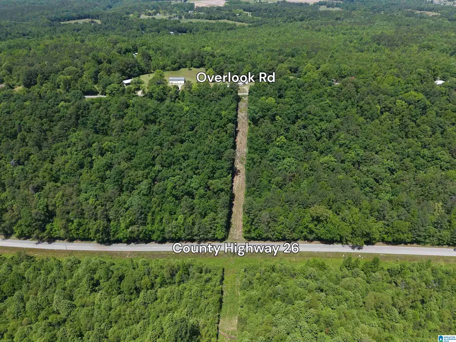 17 Acres COUNTY HIGHWAY 26, Blountsville, AL 35031 - #2