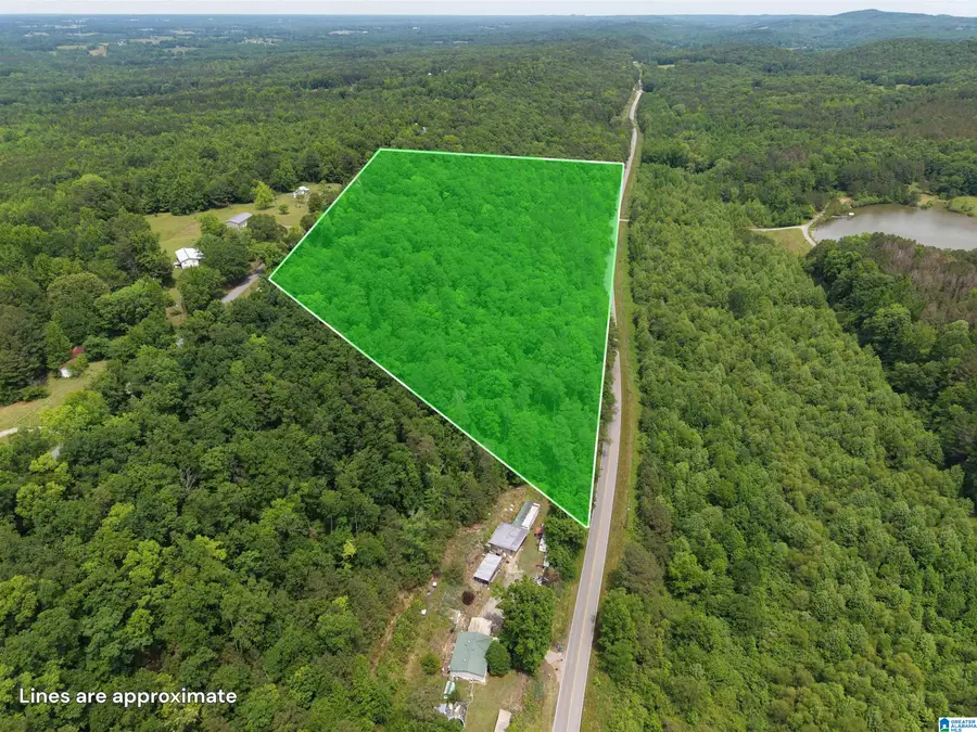 17 Acres COUNTY HIGHWAY 26, Blountsville, AL 35031 - #3