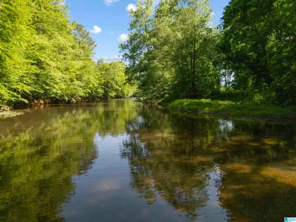 13 Acres COUNTY ROAD 175, Piedmont, AL 36272