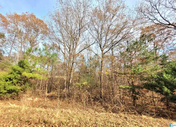 00 ROLLING HILLS LANE, Munford, AL 35160