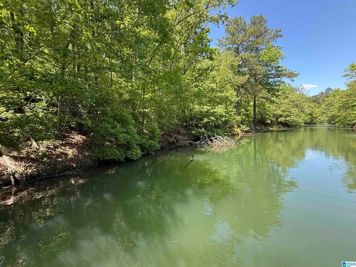 LOT 8 WINDING CREEK LANE, Arley, AL 35541 - #1