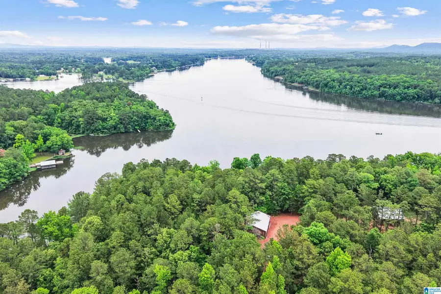 297 4-H ROAD, Columbiana, AL 35051 - #3