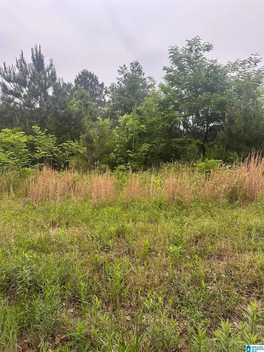 539 THOMASTON ROAD, Lincoln, AL 35096 - #2