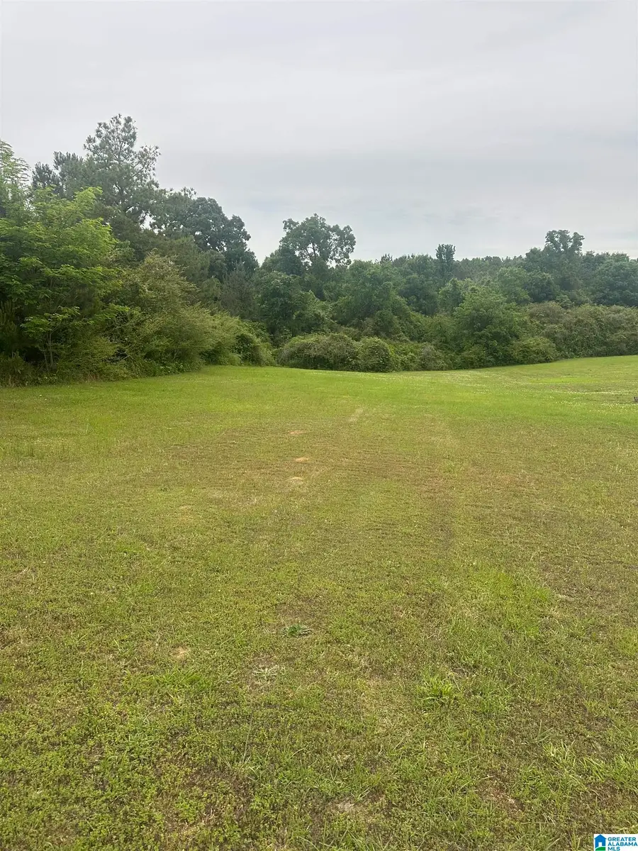 557 THOMASTON ROAD, Lincoln, AL 35096 - #2