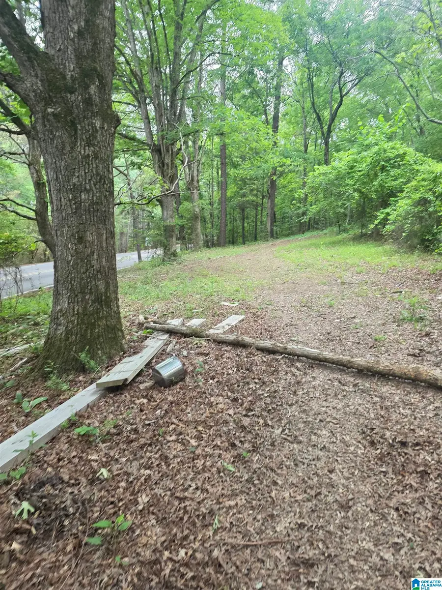3584 SELF CREEK ROAD, Warrior, AL 35180 - #3