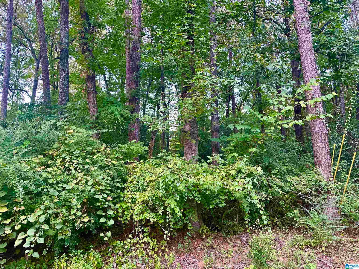 237 SAM PATE DRIVE, Birmingham, AL 35215 - #1