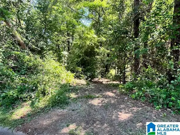218 CHESTNUT FOREST CIRCLE, Helena, AL 35080