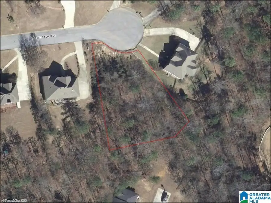 218 CHESTNUT FOREST CIRCLE, Helena, AL 35080 - #2
