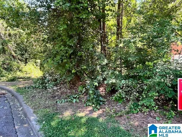 218 CHESTNUT FOREST CIRCLE, Helena, AL 35080 - #3