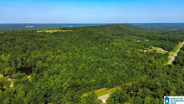 0 HIGHWAY 145, Clanton, AL 35046