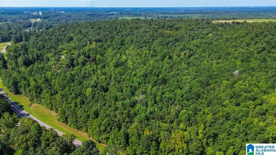0 HIGHWAY 145, Clanton, AL 35046 - #2