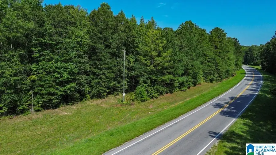 0 HIGHWAY 145, Clanton, AL 35046 - #3
