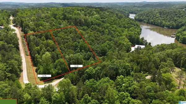 Lot 25 SAWYER BOAT RAM ROAD, Wedowee, AL 36278