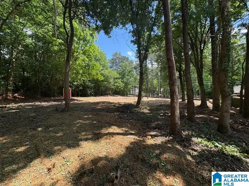 3264 GREEN VALLEY ROAD, Vestavia Hills, AL 35243 - #2
