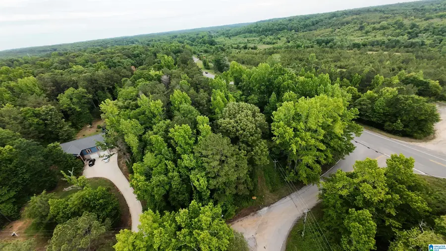 16 THRASH ROAD, Woodstock, AL 35188 - #2