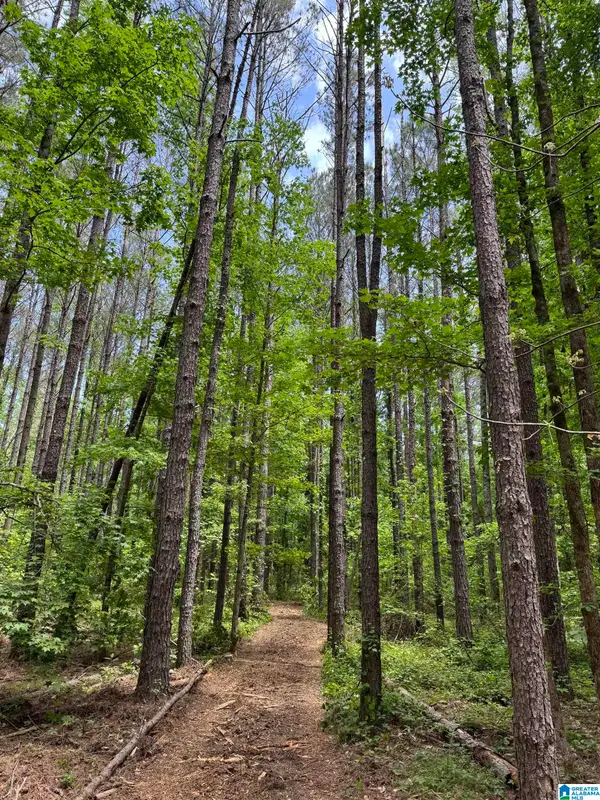 17 PRESBYTERIAN CHURCH ROAD, West blocton, AL 35184