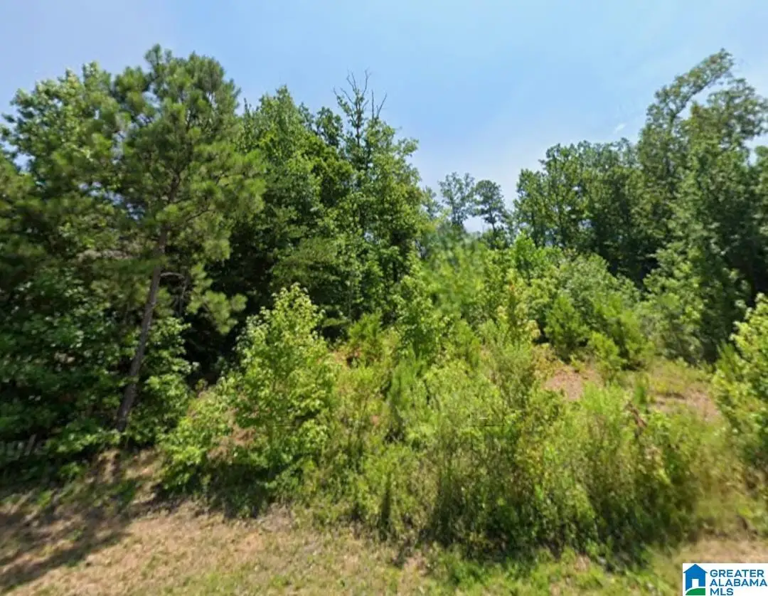 6130 EAGLE POINT CIRCLE, Birmingham, AL 35242 - #1