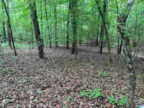 0 GILMER AVENUE, Tallassee, AL 36078