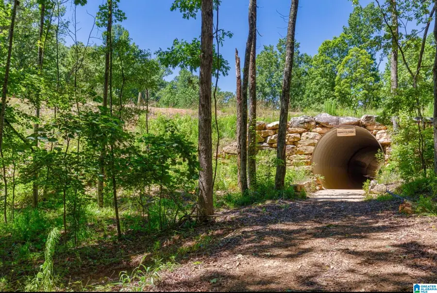 3056 OAKRIDGE WAY, Chelsea, AL 35043 - #2
