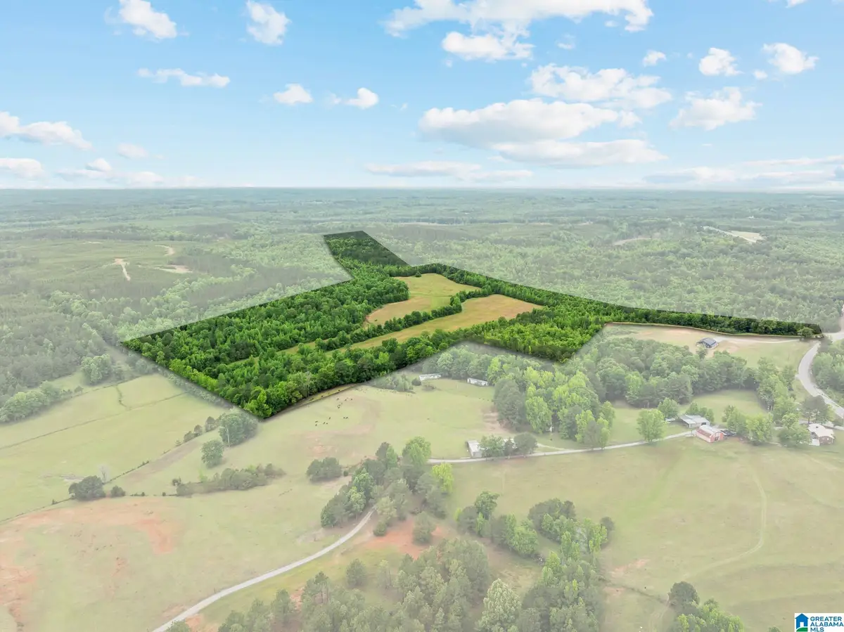 0 HIGHWAY 191, Maplesville, AL 36750 - #1