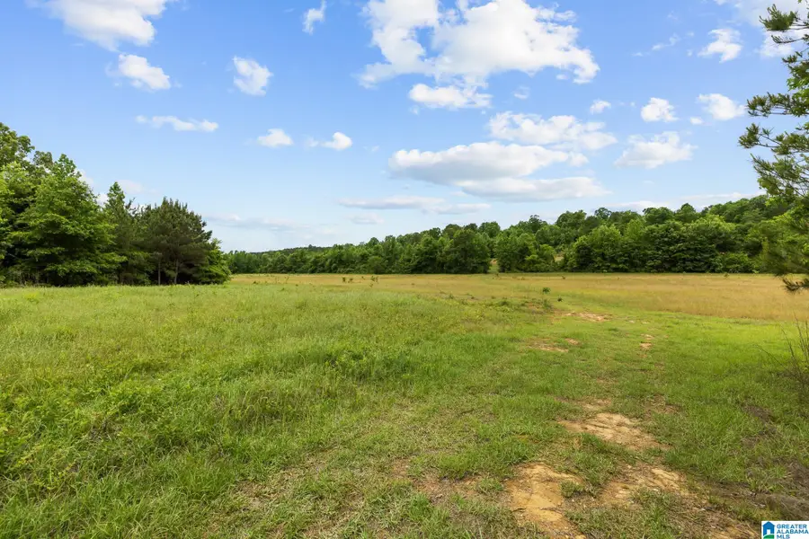 0 HIGHWAY 191, Maplesville, AL 36750 - #2