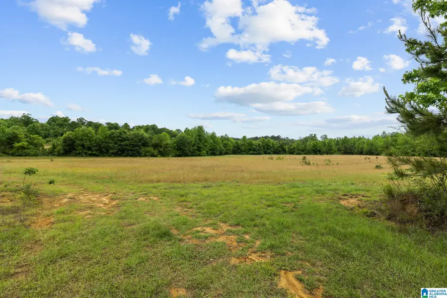 0 HIGHWAY 191, Maplesville, AL 36750 - #3