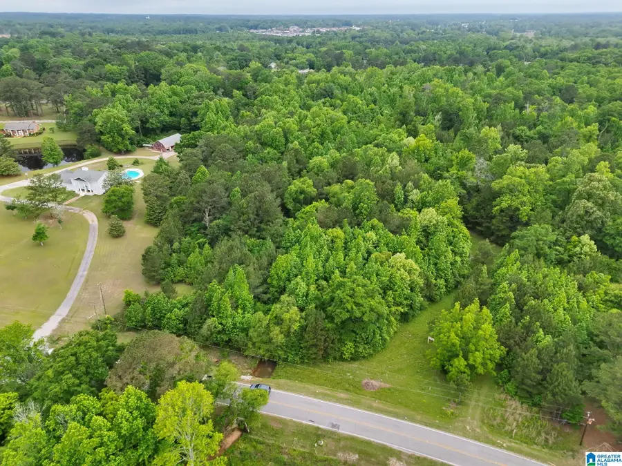 0 TEMPLE ROAD, Clanton, AL 35045 - #2