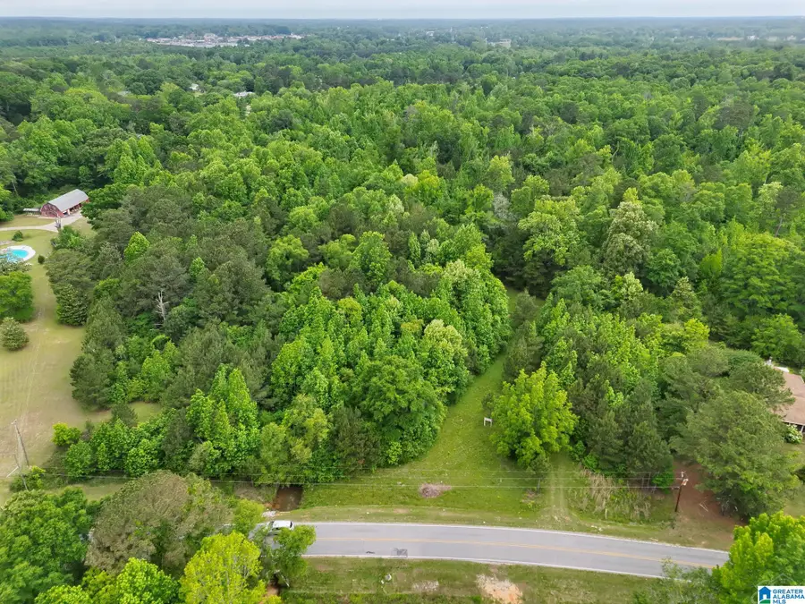0 TEMPLE ROAD, Clanton, AL 35045 - #3
