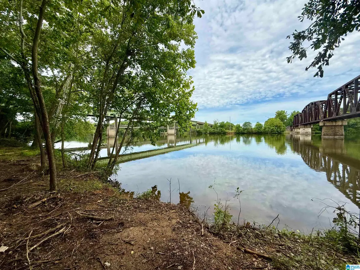 0 HIGHWAY 280, Childersburg, AL 35044 - #1