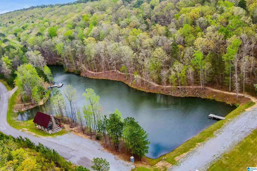 712 HICKORY HOLLOW, Chelsea, AL 35043 - #3