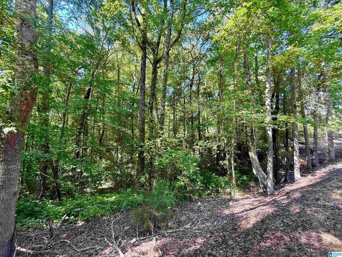 0 SETTLEMENT ROAD, Sylacauga, AL 35150 - #1