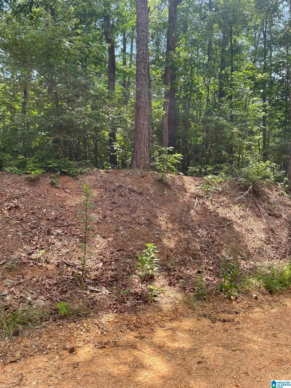 00 MITCHELL DRIVE, Abernant, AL 35111 - #1