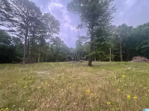 0 MIMS CIRCLE, Clanton, AL 35045