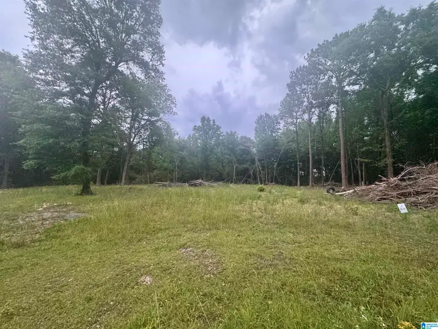 0 MIMS CIRCLE, Clanton, AL 35045 - #2