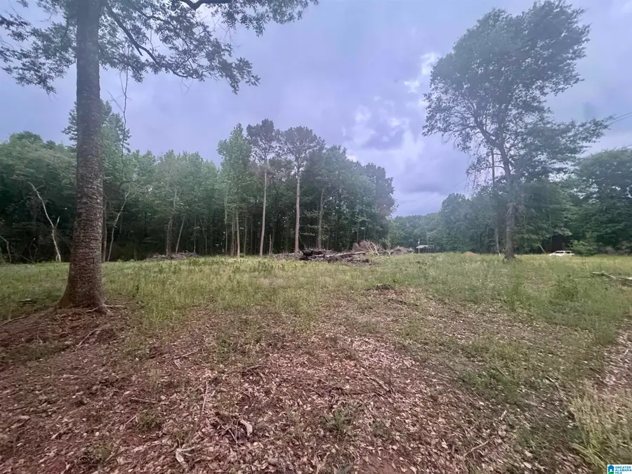 0 MIMS CIRCLE, Clanton, AL 35045 - #3
