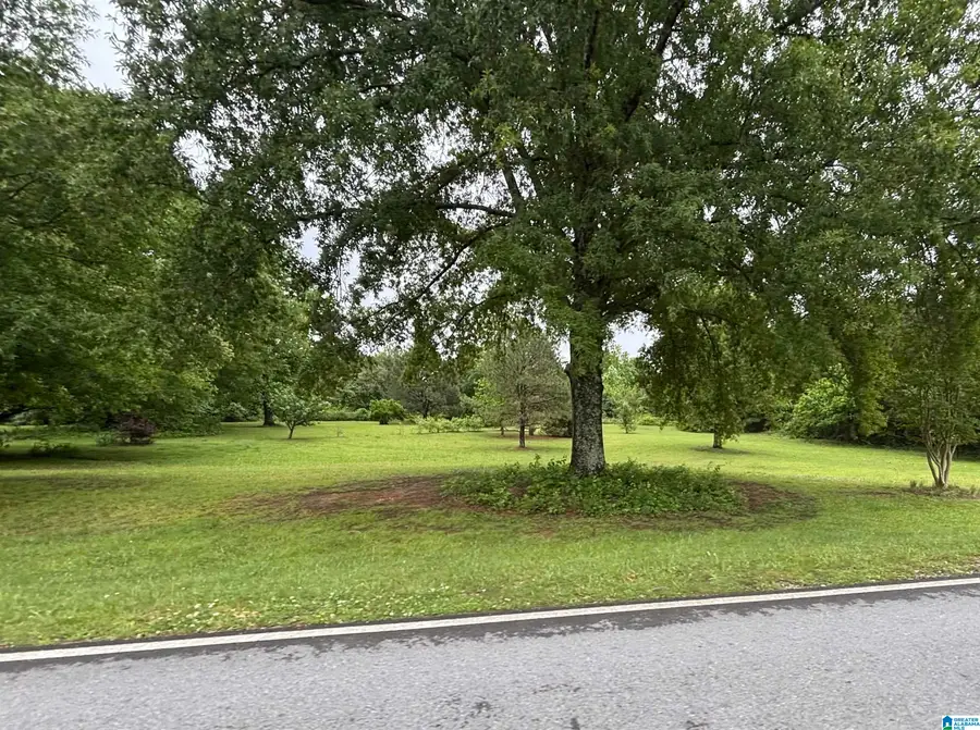 2358 HIGHWAY 36, Oneonta, AL 35121 - #2
