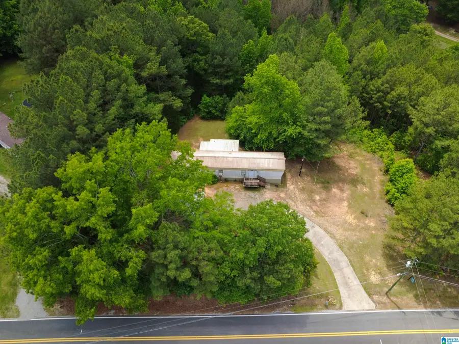 4561 COOK SPRINGS ROAD, Pell City, AL 35125 - #3