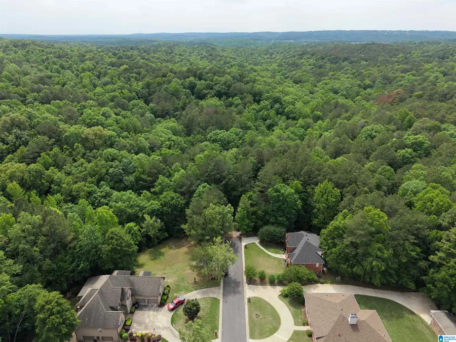 0 CHASE DRIVE, Pelham, AL 35124 - #2