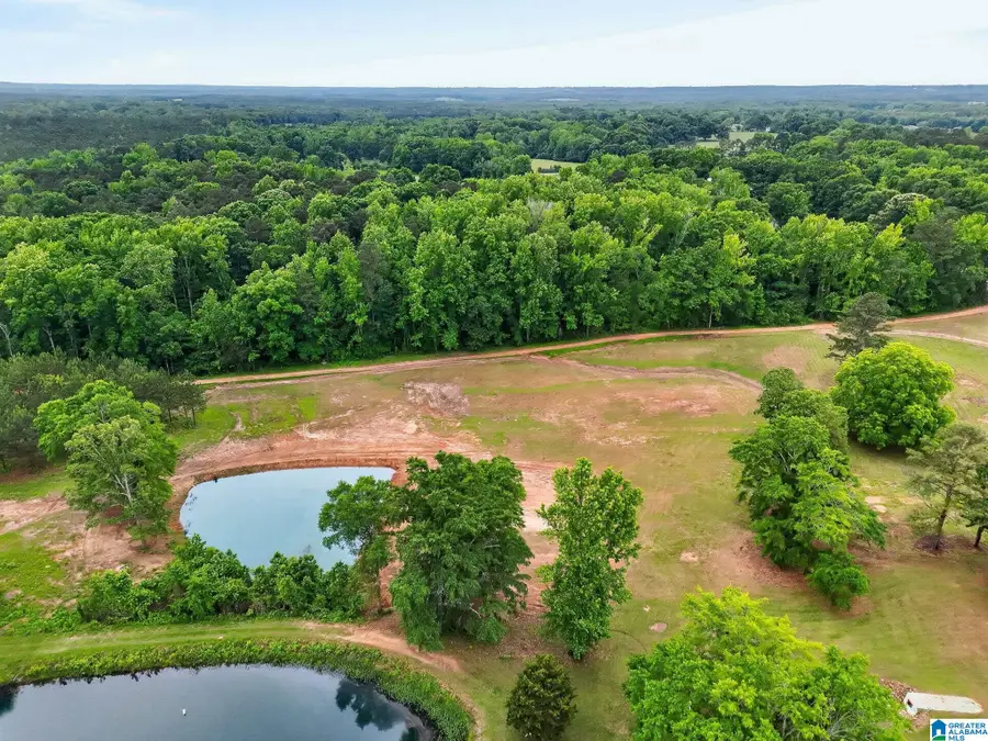 0 COUNTY ROAD 491, Clanton, AL 35045 - #2
