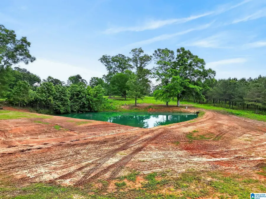 0 COUNTY ROAD 491, Clanton, AL 35045 - #3