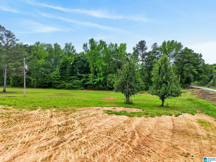 0 COUNTY ROAD 491, Clanton, AL 35045 - #3