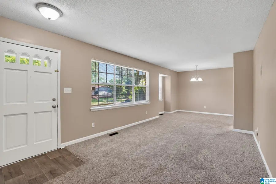 221 JUPITER DRIVE, Center Point, AL 35215 - #3