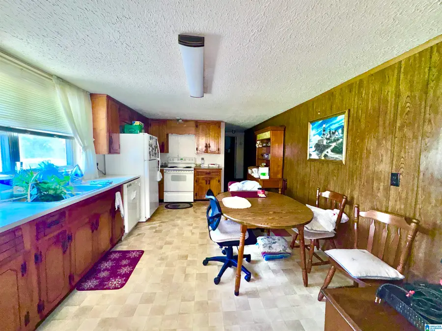 508 PAXTON AVENUE, Glencoe, AL 35905 - #2